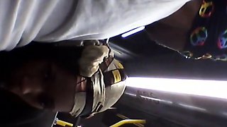 Brain's Blowjob on the Bus