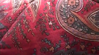 Not in the Ass! (full Film Centoxcento)