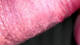 Ultimate 4K Asmr - Deep Mouth Sounds Blowjob & Close-up Lips - 60fps High Fidelity