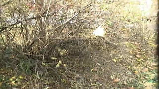 Teenenger Fucked in the Park and Squirted in Mouth