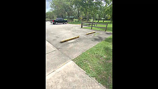 Dogging in the Park and Gets Lucky