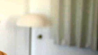 When Gorgeous Maid  Amalia Davis Gets Off Duty