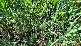 LittleCaprice-StreetFuck She Miss Her Bus, May Thai