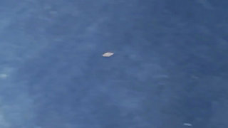 Blonde Nylon Slut Gets Her Ass Fucked While Tied up!!