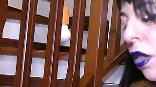 Stella's Cat Training