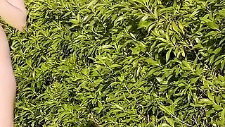 Volleyball Behind the Scenes