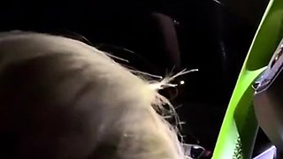 Stefanie Knight Gets Fucked In The Car