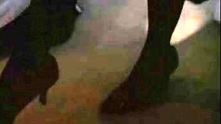 Blonde amateur MILF pov toys fingering shaved cunt