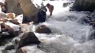 Sexy Couple Wants to Have Sex in the Jungle