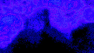 Cleo Submissive and stepdaughter wants to play with