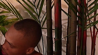 Neighbor Voyeur Watches White Girl Getting Pounded by BBC!