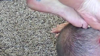 Pledge Loyalty to My Goddess Feet! Custom Clip
