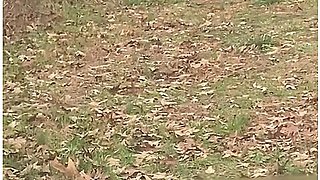 Neighbors Wife Asked For Huge Favor And Let Me Ram Her Pussy In Car To Help Pay Her Rent!!