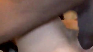 Petite Asian Lil Rea Destroyed Bred by Mr Longwood S BBC