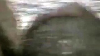 Bareback in a Beach Cave with Daddy Bears