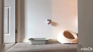 Caught Red Handed