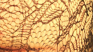 BBW Milf MaskedMomWife Blows And Gets Fucked