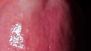 Goddess Anya Queen’s POV View Extreme Oral & Wet Asmr