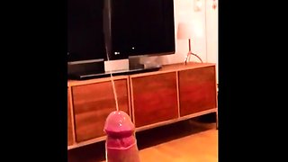 Big Cock Amateur Handjob