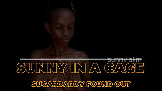 Sunny in a Cage