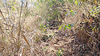 I Fucked My Old Girlfriend in the Forest