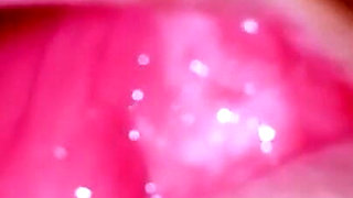 Anal Fuck - Anal Close up Compilation with My GF and My Doll