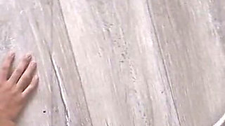 Housepet Walk: Bark, Beg, Fetch & Shoe Licking