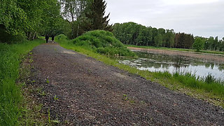 Men's Day Differently: a Special Walk