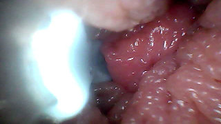 Extreme Proximity Turns Watcher Into Active, Hungry Participant