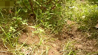 Big Ass Indian Village Aunty Outdoor Sex