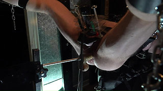 Electro Venus Cock Milking and Machine Fuck in the Leather Sling