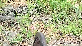 I Fuck M Step Brother in the Bush