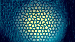 Milf gets fucked while bound: Eats cum while mouth is opened