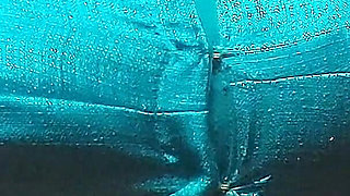 Big Boobs and Big Tits Desi