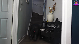 How to Start an Flr Femdom Relationship