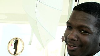 N2 The Gene Pool Black and Ebony