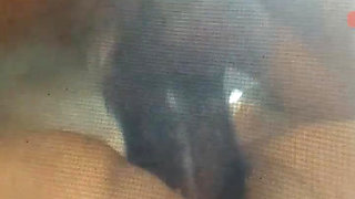 code name pussy destroyer .happiest momment doggy