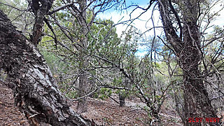 Slut Hunt Episode 8: Lost Cutie Juniper Gets Wrecked