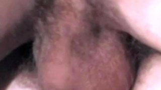 Jade Pussycat Classic Beauty