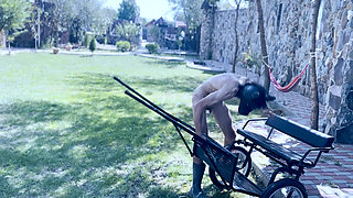 Should I whip my PONYboy MORE?