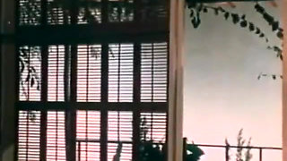 Classic Porn Dvds: Blonde Fire: Part 6