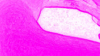 A sexual encounter is about joy, so intense and wild that it's difficult to describe in words.