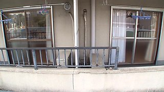 554-rottuui-touy-gii-dta