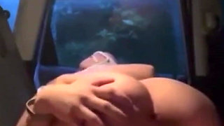 Fucking My Sister in Law in the Car at My Family Thanksgiving