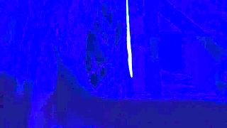 XXX Sister in Law Sexy Fucked Sex Porn Videos