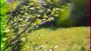 Investigation of Vice (1977)