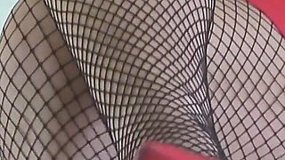 Misss a Catching You with Her Sexy Fishnets 2