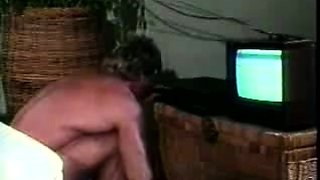 Big boobed pov slut tit and pussy fucked