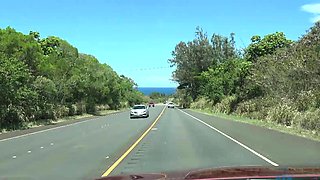 Amateur wild chick solo masturbation