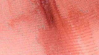 4503619